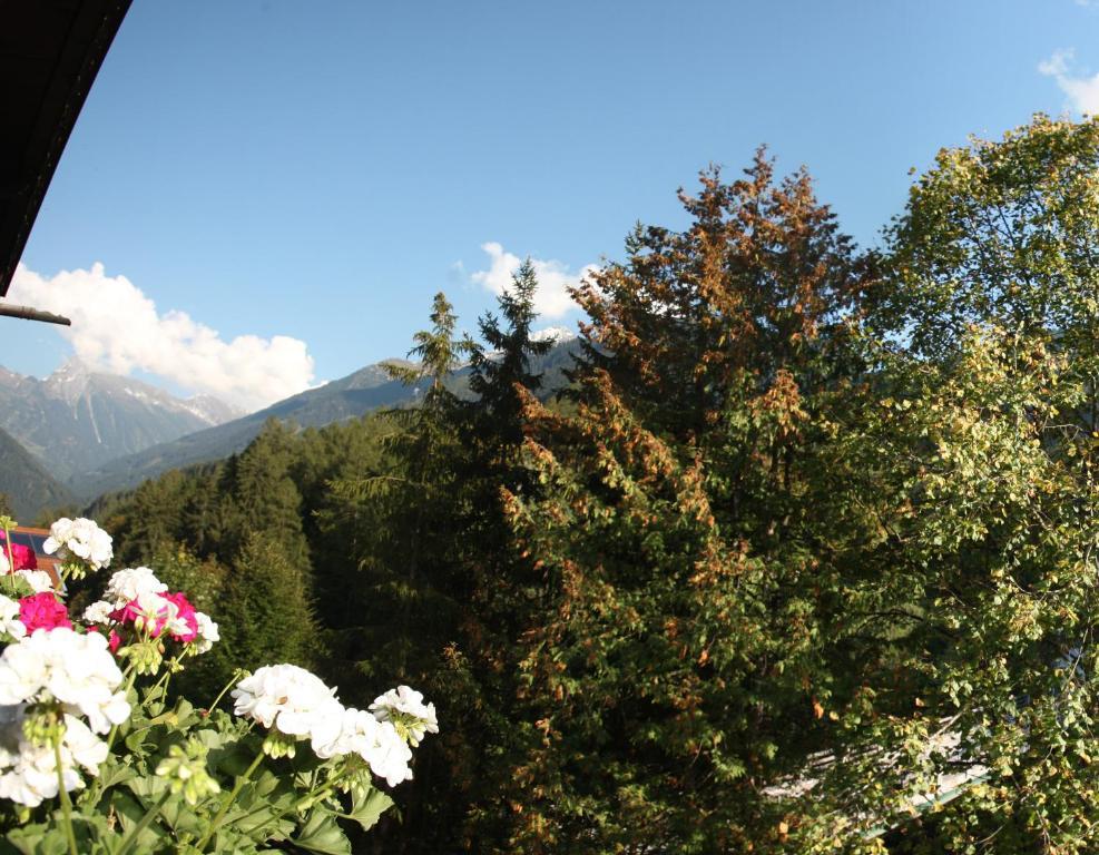 Apart Tuxertal Finkenberg Rum bild